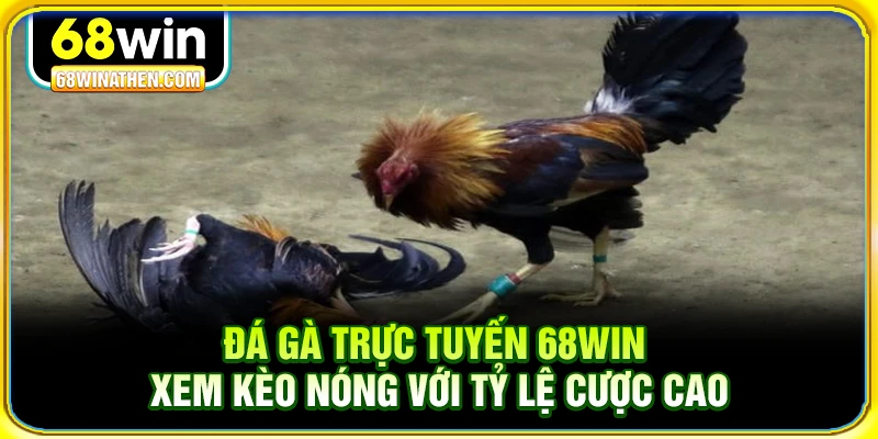 Đá gà trực tuyến 68win