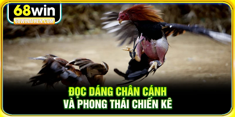 Đọc d&aacute;ng ch&acirc;n c&aacute;nh v&agrave; phong th&aacute;i chiến k&ecirc;
